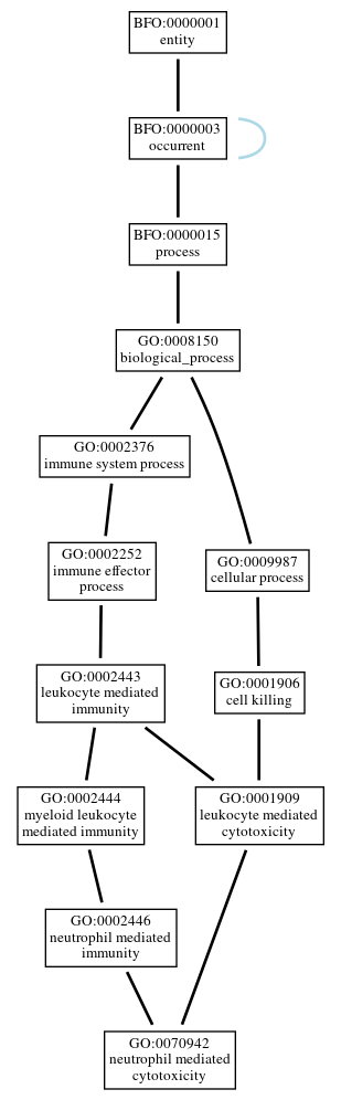 Graph of GO:0070942