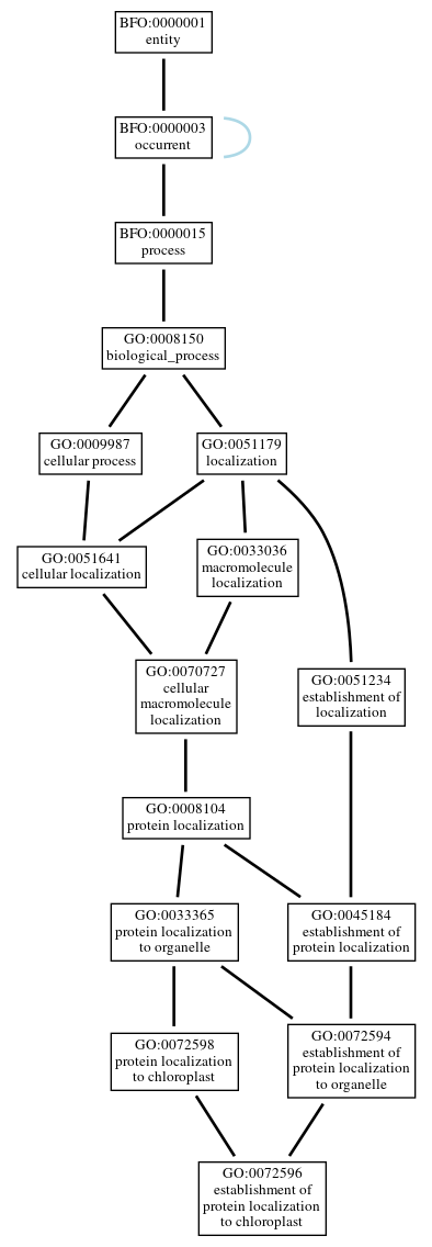 Graph of GO:0072596