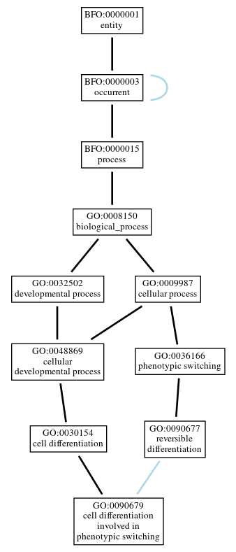 Graph of GO:0090679