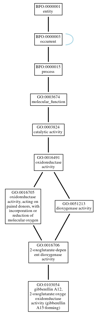 Graph of GO:0103054