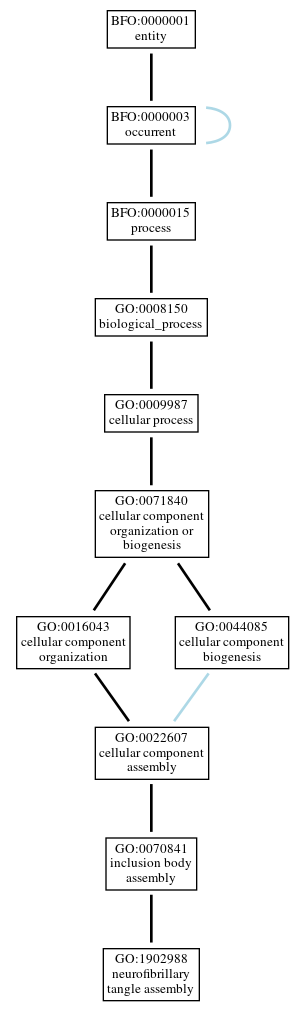 Graph of GO:1902988