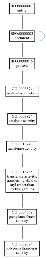 Graph of GO:0002094