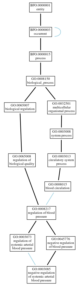 Graph of GO:0003085