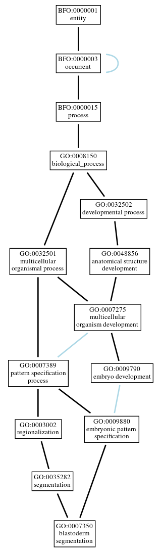 Graph of GO:0007350