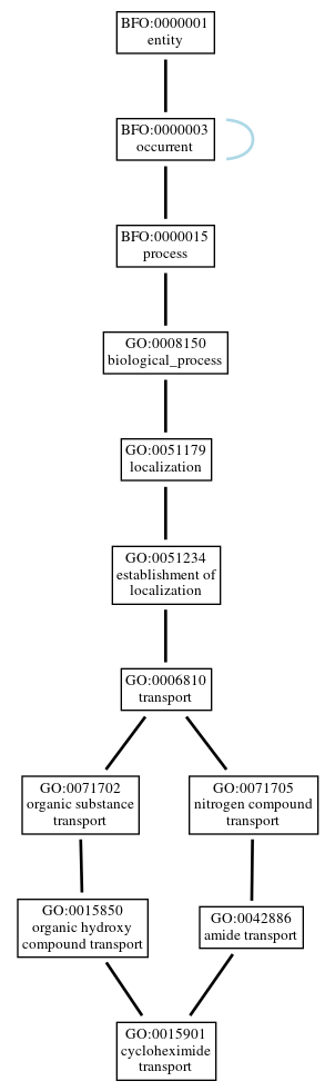 Graph of GO:0015901