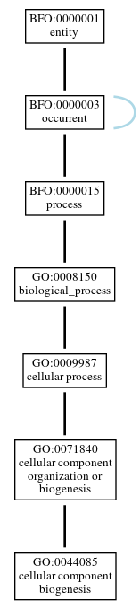 Graph of GO:0044085