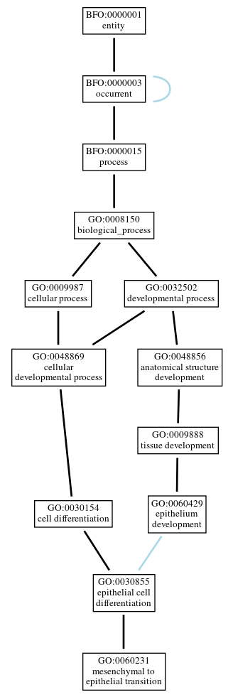 Graph of GO:0060231