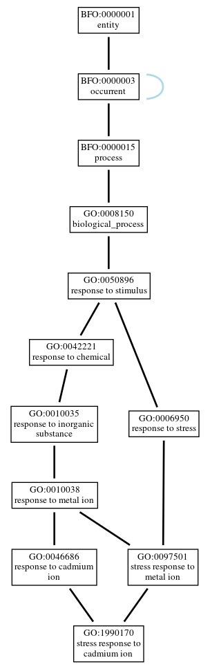 Graph of GO:1990170