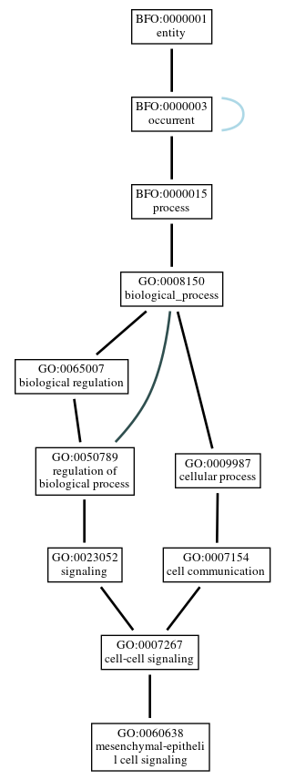 Graph of GO:0060638