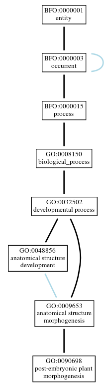 Graph of GO:0090698