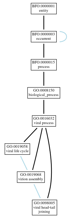 Graph of GO:0098005