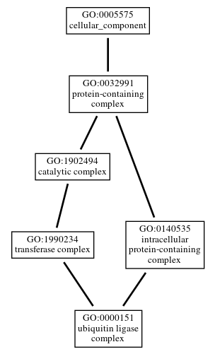 Graph of GO:0000151