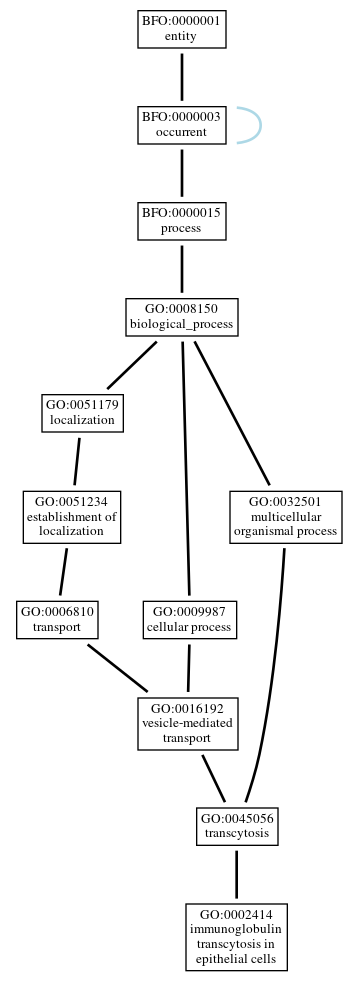 Graph of GO:0002414