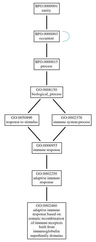 Graph of GO:0002460