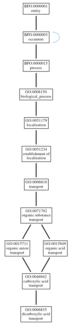 Graph of GO:0006835