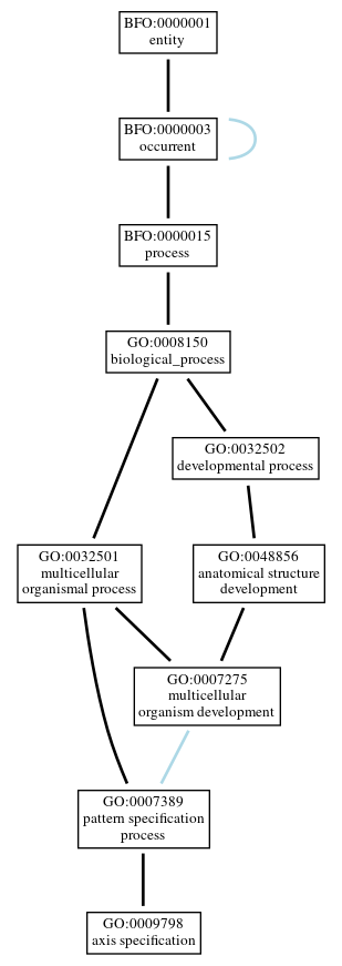 Graph of GO:0009798