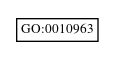 Graph of GO:0010963