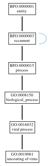 Graph of GO:0019061