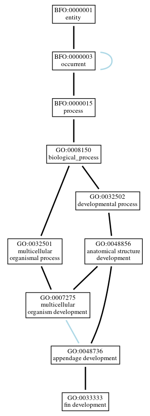 Graph of GO:0033333