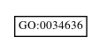 Graph of GO:0034636