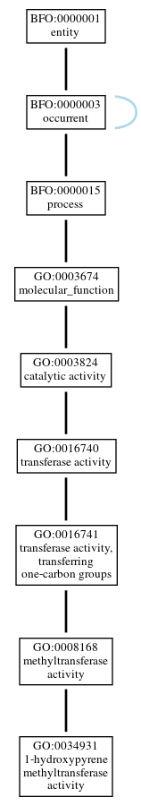 Graph of GO:0034931