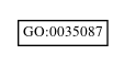Graph of GO:0035087