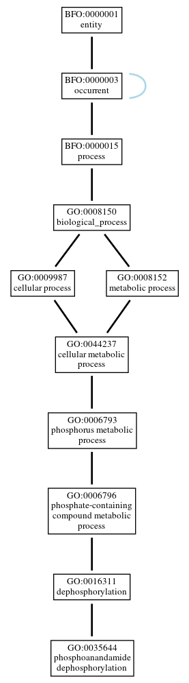 Graph of GO:0035644