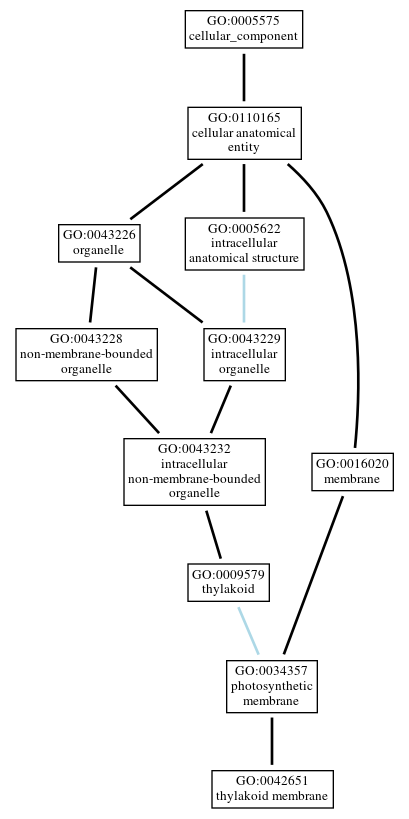 Graph of GO:0042651