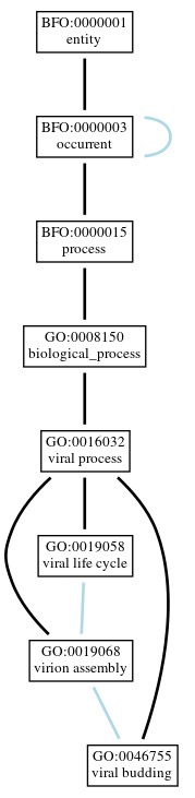 Graph of GO:0046755