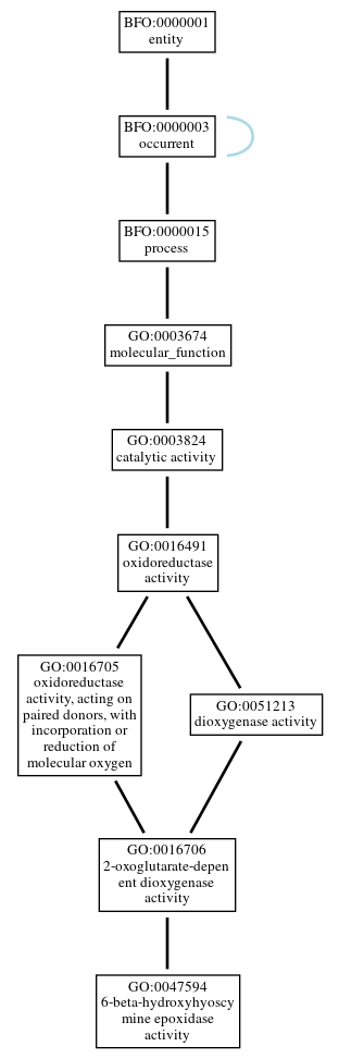 Graph of GO:0047594