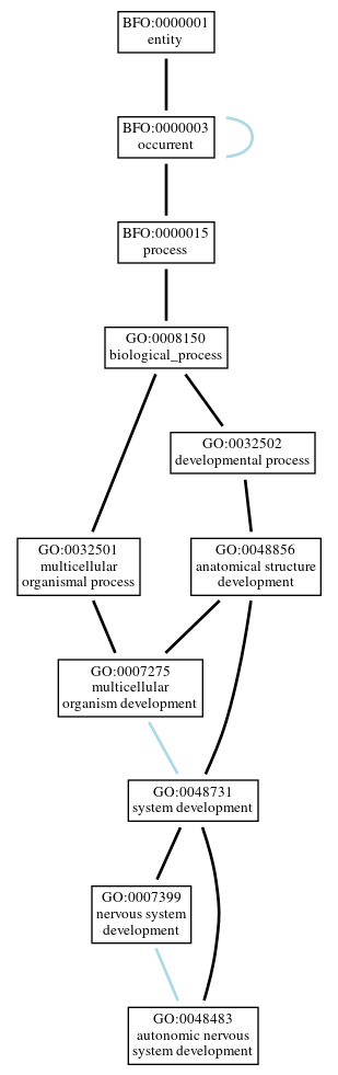 Graph of GO:0048483