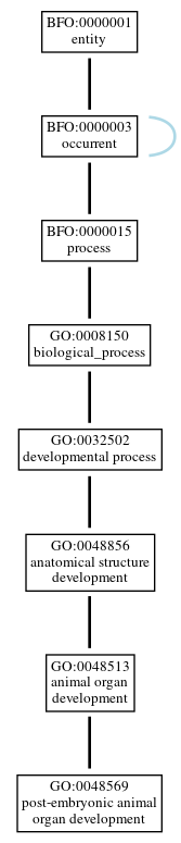 Graph of GO:0048569
