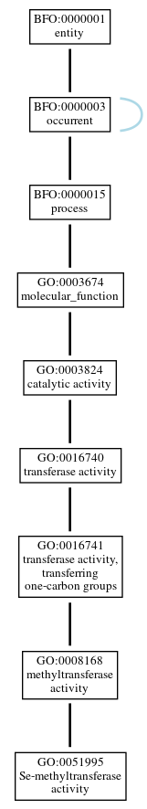 Graph of GO:0051995