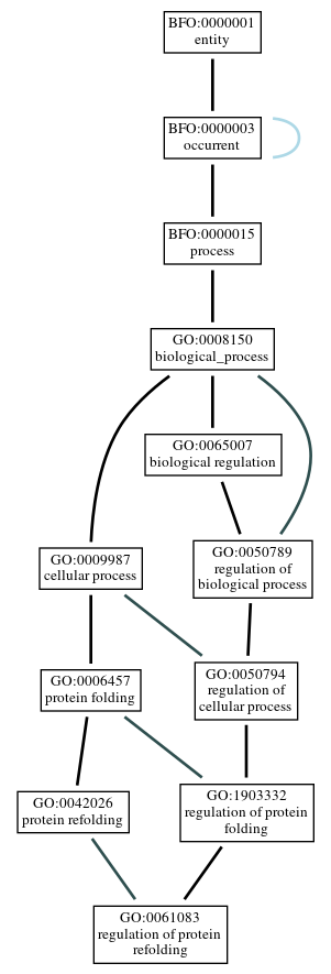 Graph of GO:0061083