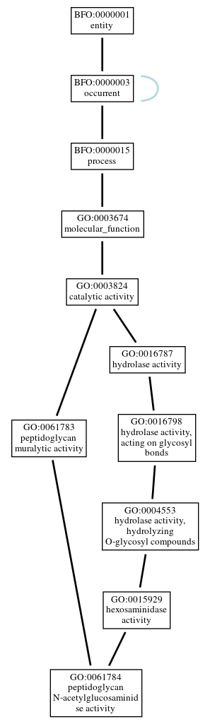 Graph of GO:0061784