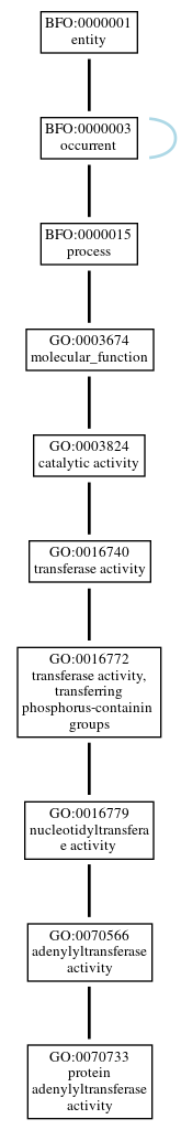 Graph of GO:0070733