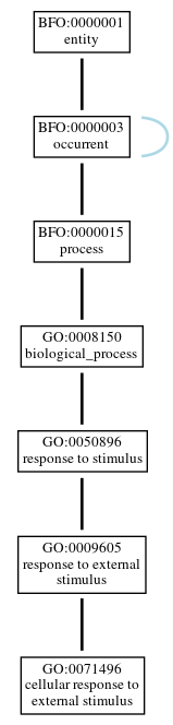 Graph of GO:0071496