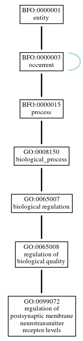 Graph of GO:0099072