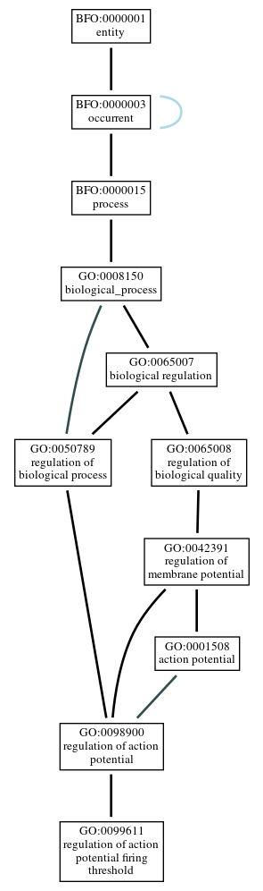 Graph of GO:0099611