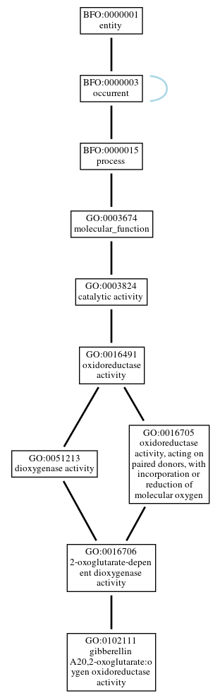 Graph of GO:0102111