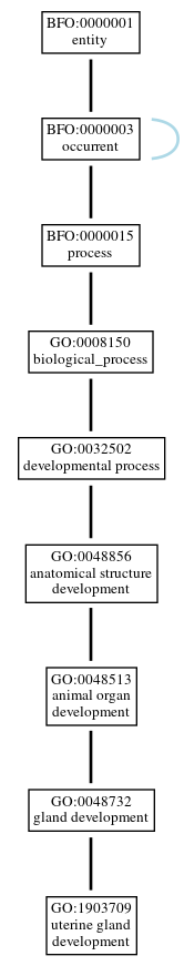 Graph of GO:1903709