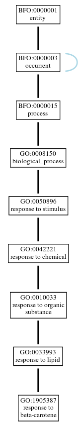 Graph of GO:1905387