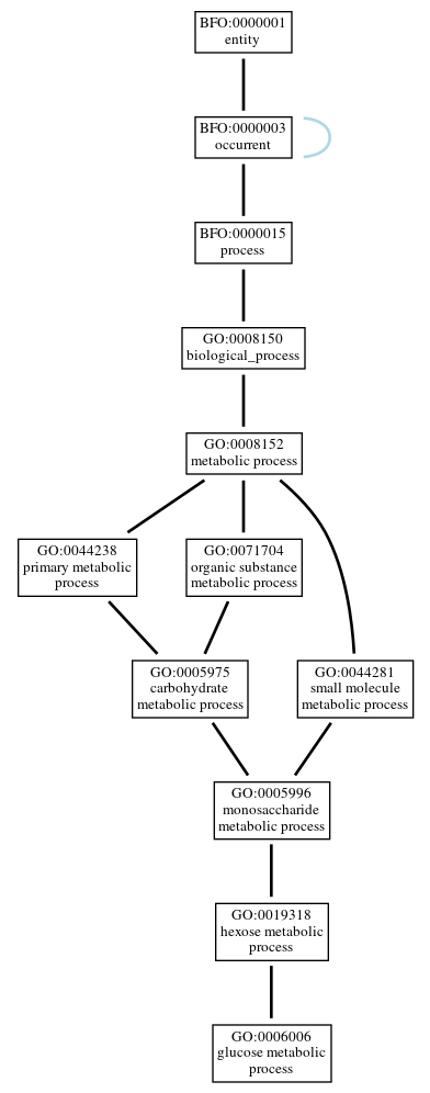 Graph of GO:0006006