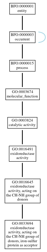 Graph of GO:0033694