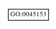Graph of GO:0045153