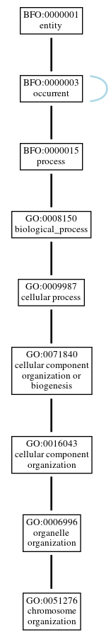 Graph of GO:0051276