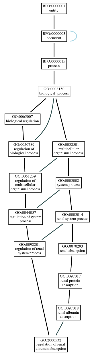 Graph of GO:2000532