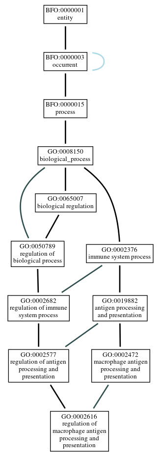 Graph of GO:0002616