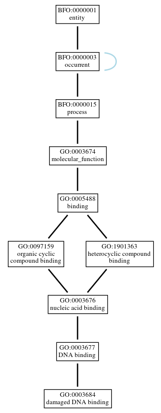 Graph of GO:0003684