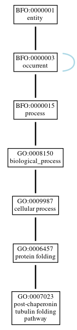 Graph of GO:0007023